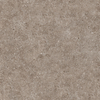 Outdoor Paving Stone Granite Marble Tile Non-Slip Floor Tiles of Thickness 2cm